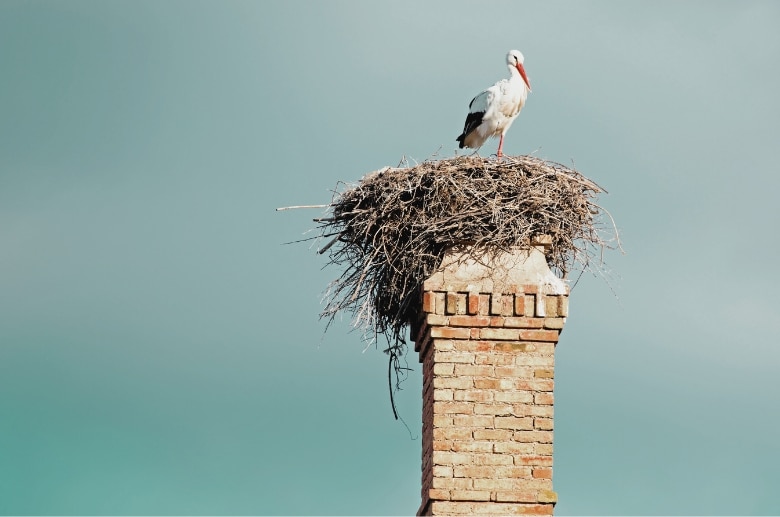 A blocked chimney with a bird's nest.