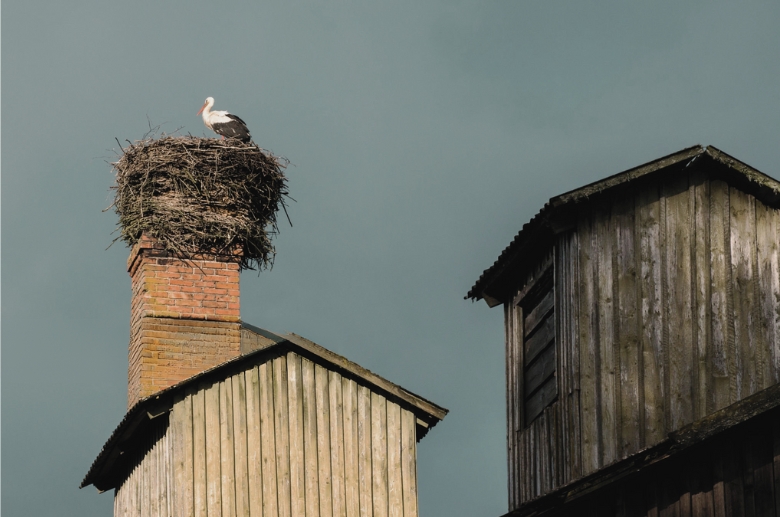 A bird's nest on top of a chimney.