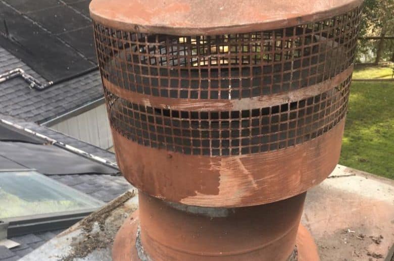 broken chimney cap causing mold smell in chimney