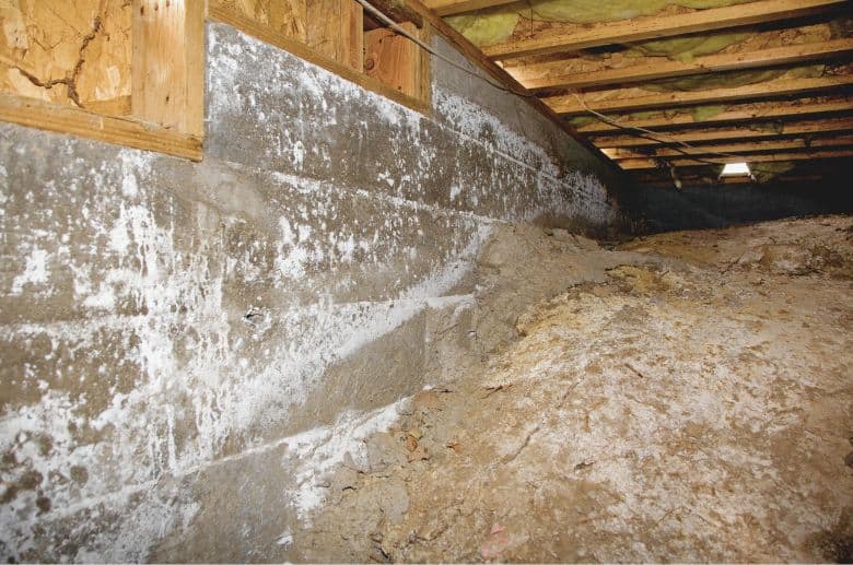 mold inside the attic is one of the signs of mold in chimney